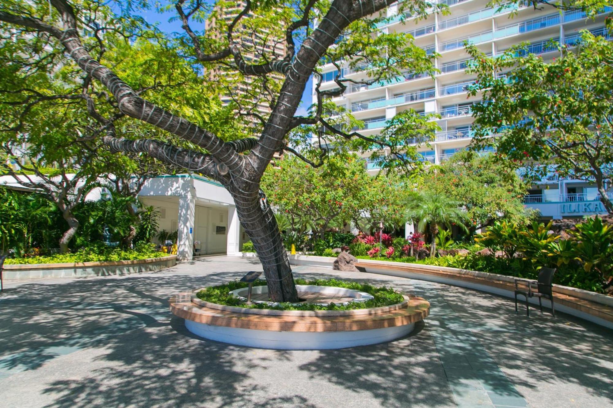 הונולולו Ilikai Tower 1340 Lagoon View 1Br מראה חיצוני תמונה